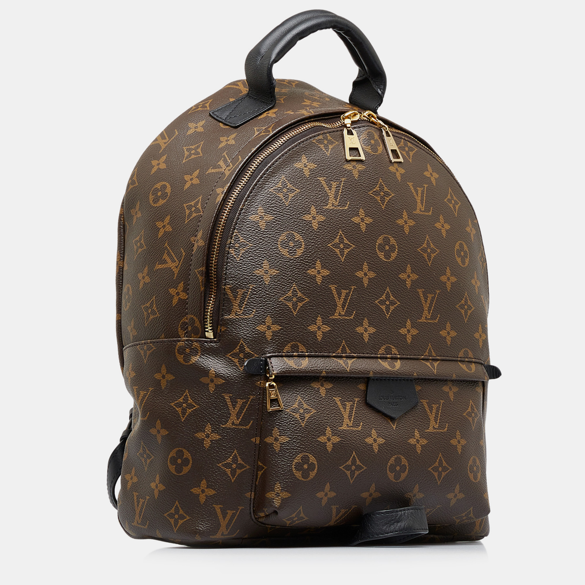 

Louis Vuitton Monogram Palm Springs MM, Brown
