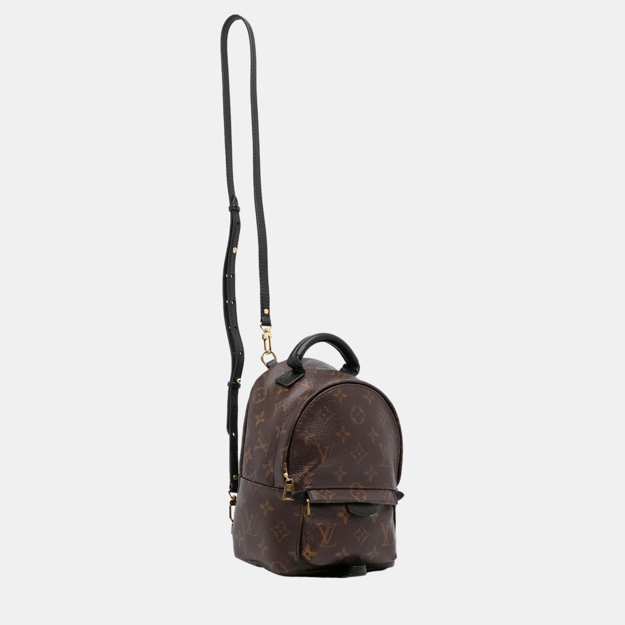 

Louis Vuitton Brown Monogram Mini Palm Springs