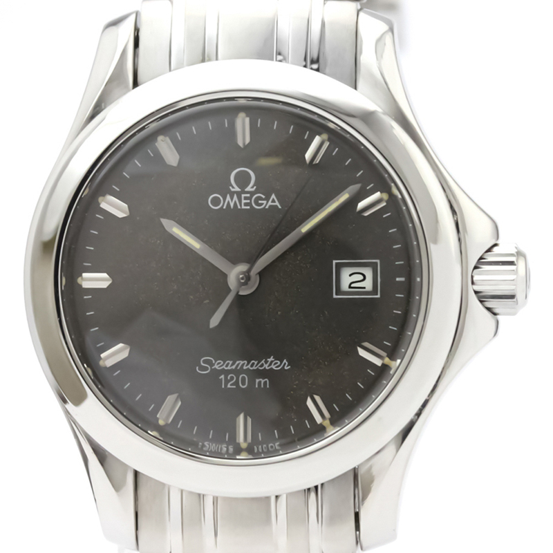 

Omega Gray Stainless Steel Seamaster, Grey