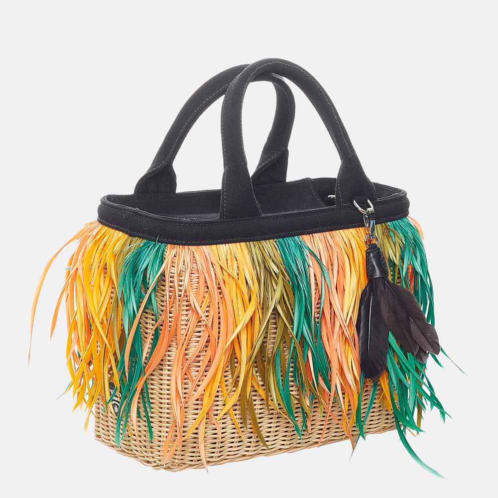 

Prada Multicolor Fringed Raffia Satchel