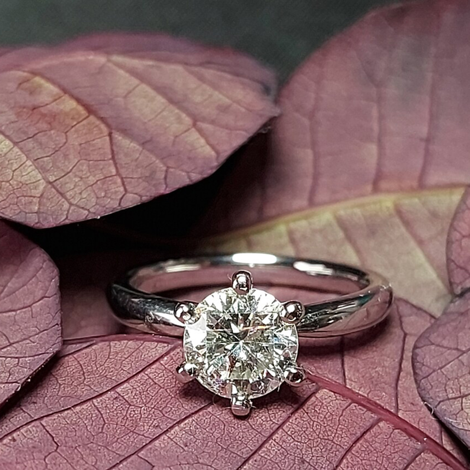 

1.00 cts Round Lab Grown Diamond 14k White Gold Ring Size 6